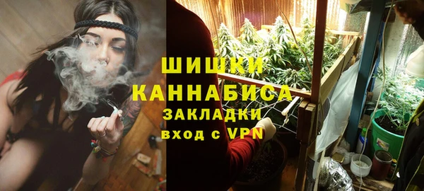 МДПВ Верхний Тагил