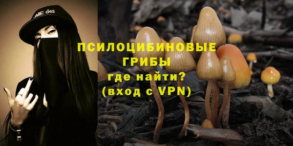 бутират Верея
