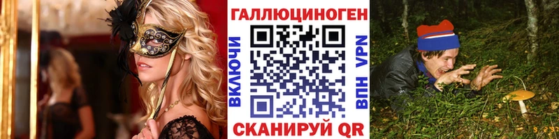 Псилоцибиновые грибы GOLDEN TEACHER  Купить закладки  Минеральные Воды 