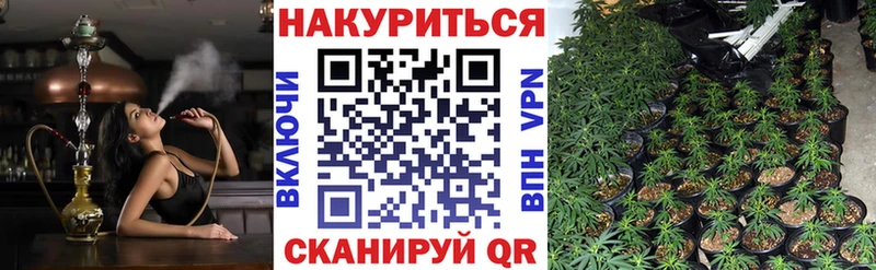 Купить  Минеральные Воды  Шишки марихуана планчик 
